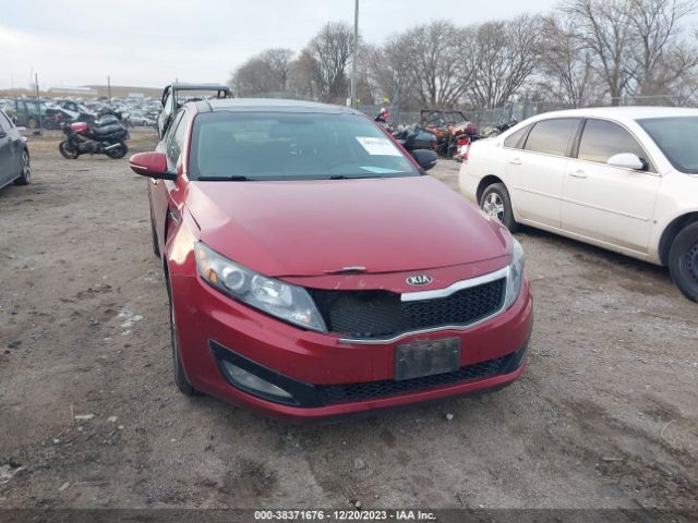 Photo 5 VIN: 5XXGN4A74DG209703 - KIA OPTIMA 