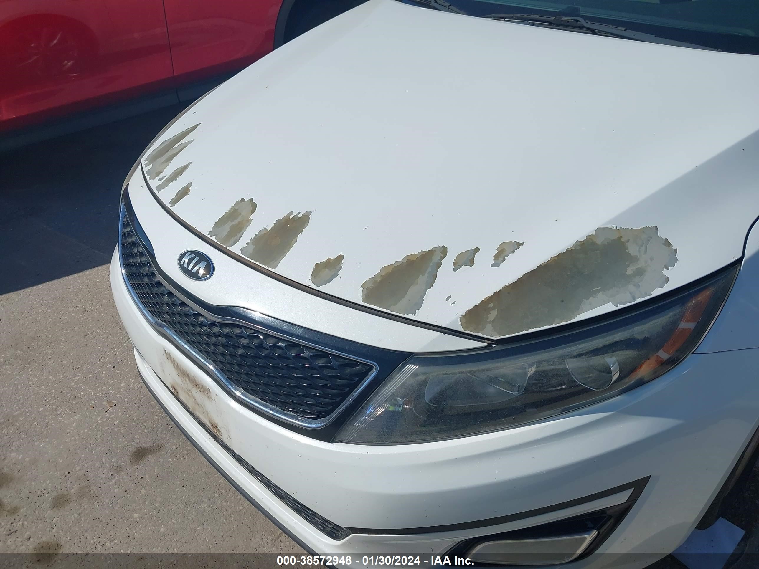 Photo 5 VIN: 5XXGN4A75FG403191 - KIA OPTIMA 