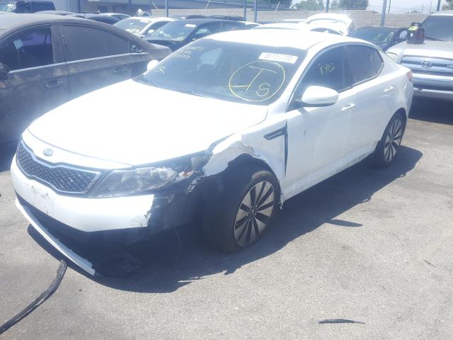 Photo 1 VIN: 5XXGR4A61DG130274 - KIA OPTIMA SX 