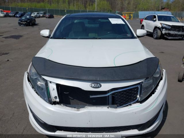 Photo 5 VIN: 5XXGR4A63DG102170 - KIA OPTIMA 