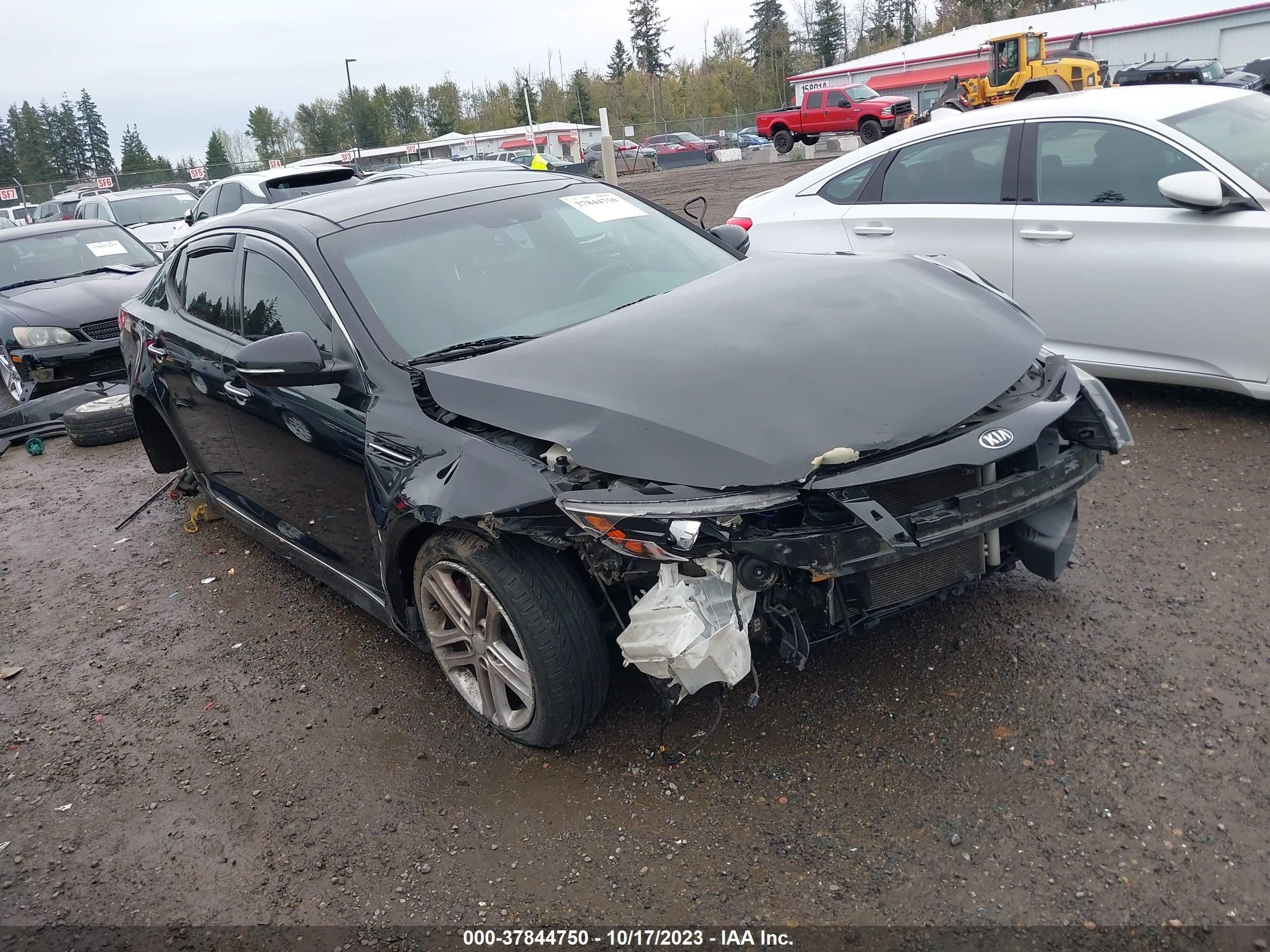 Photo 0 VIN: 5XXGR4A63DG124136 - KIA OPTIMA 