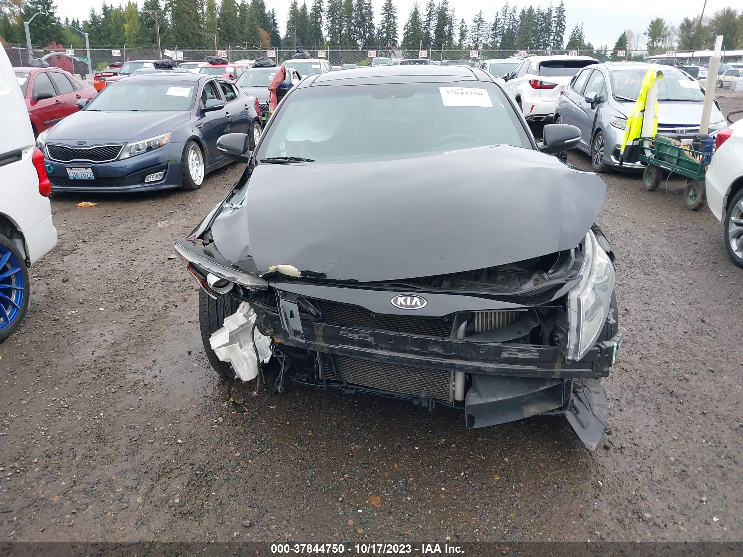 Photo 12 VIN: 5XXGR4A63DG124136 - KIA OPTIMA 