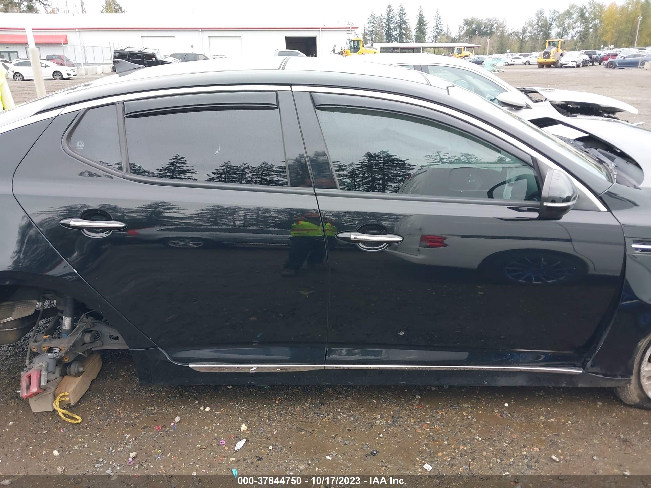 Photo 13 VIN: 5XXGR4A63DG124136 - KIA OPTIMA 