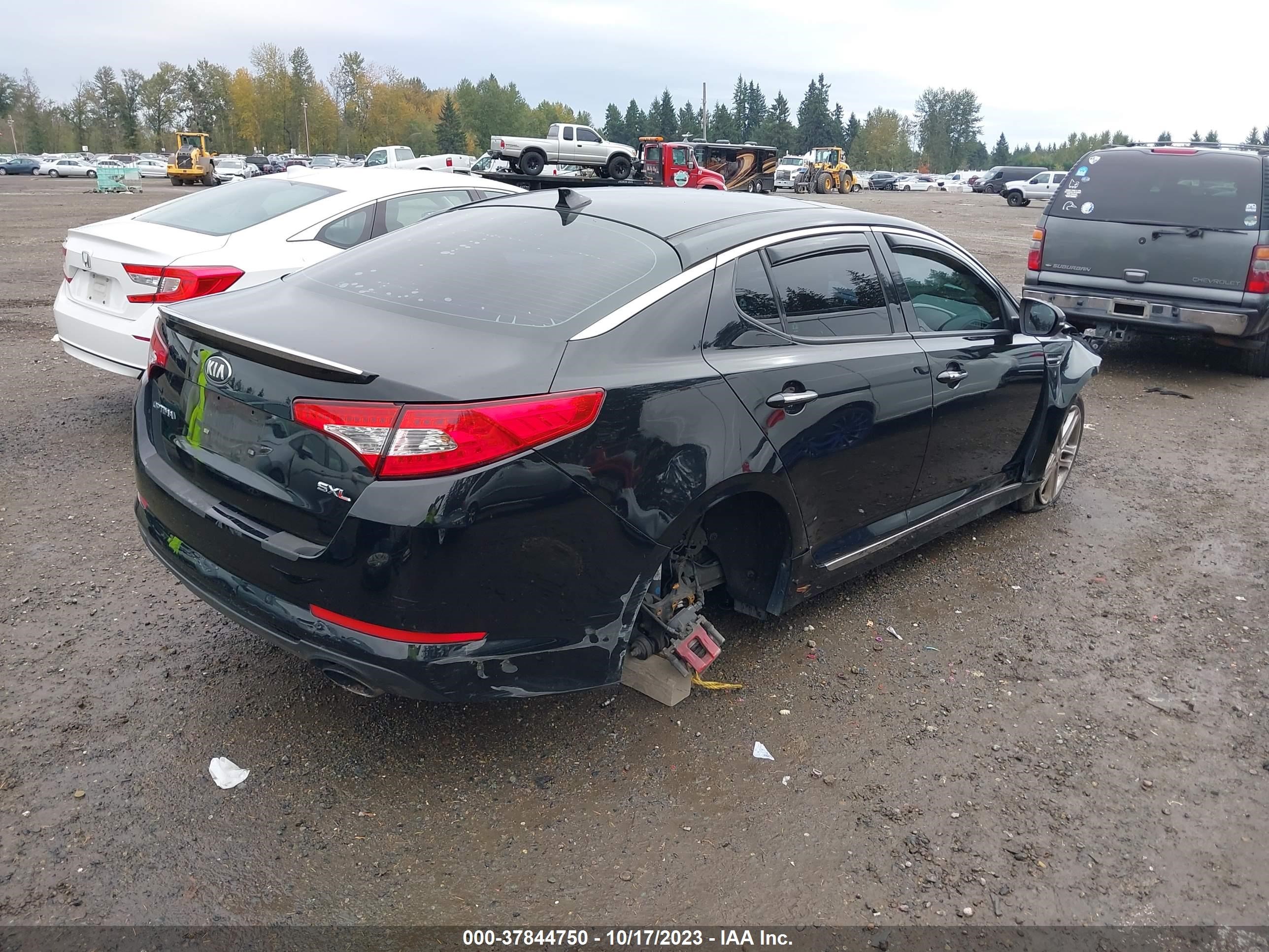 Photo 3 VIN: 5XXGR4A63DG124136 - KIA OPTIMA 