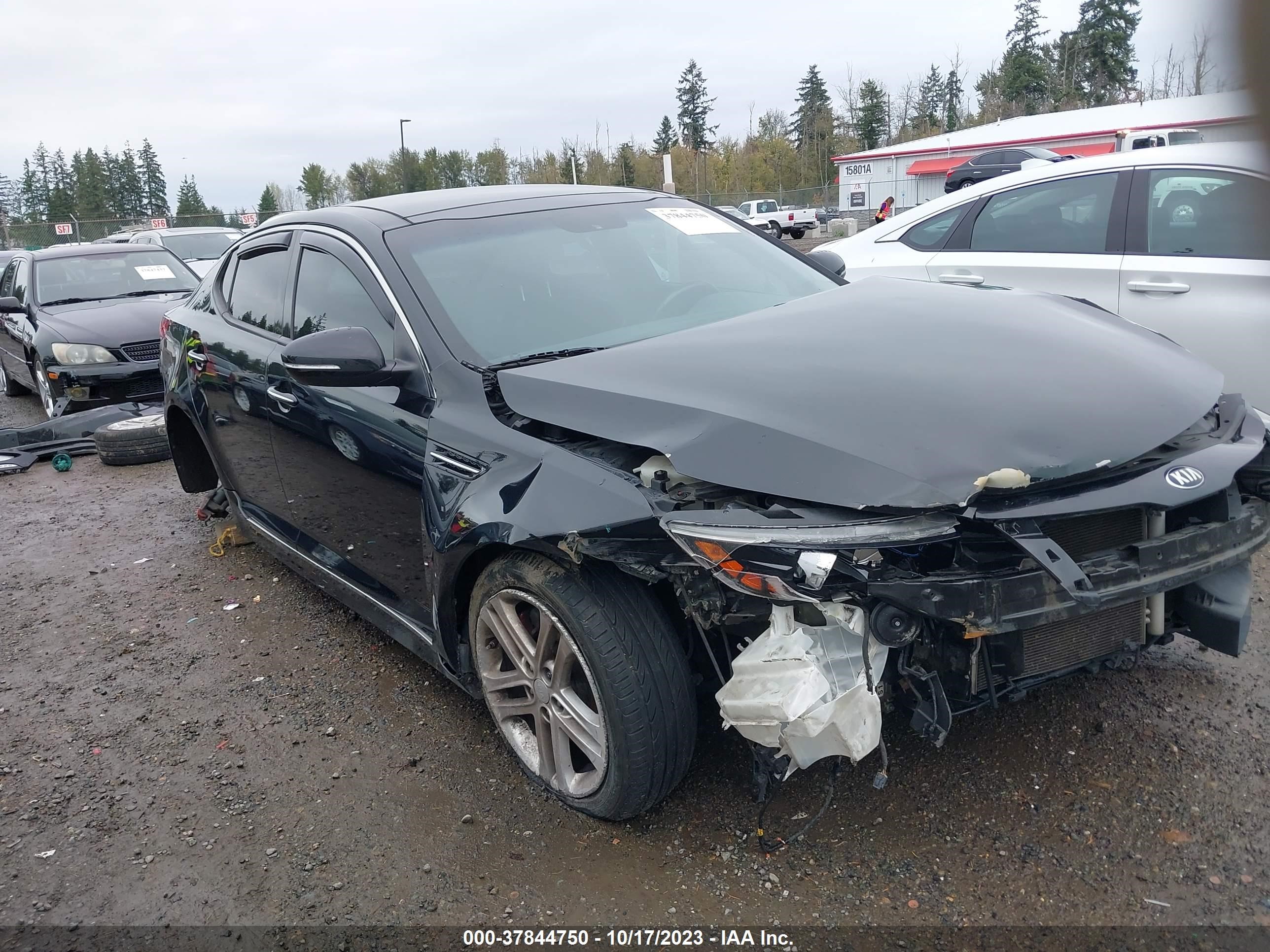 Photo 5 VIN: 5XXGR4A63DG124136 - KIA OPTIMA 