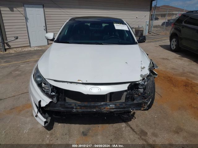 Photo 5 VIN: 5XXGR4A63DG210224 - KIA OPTIMA 