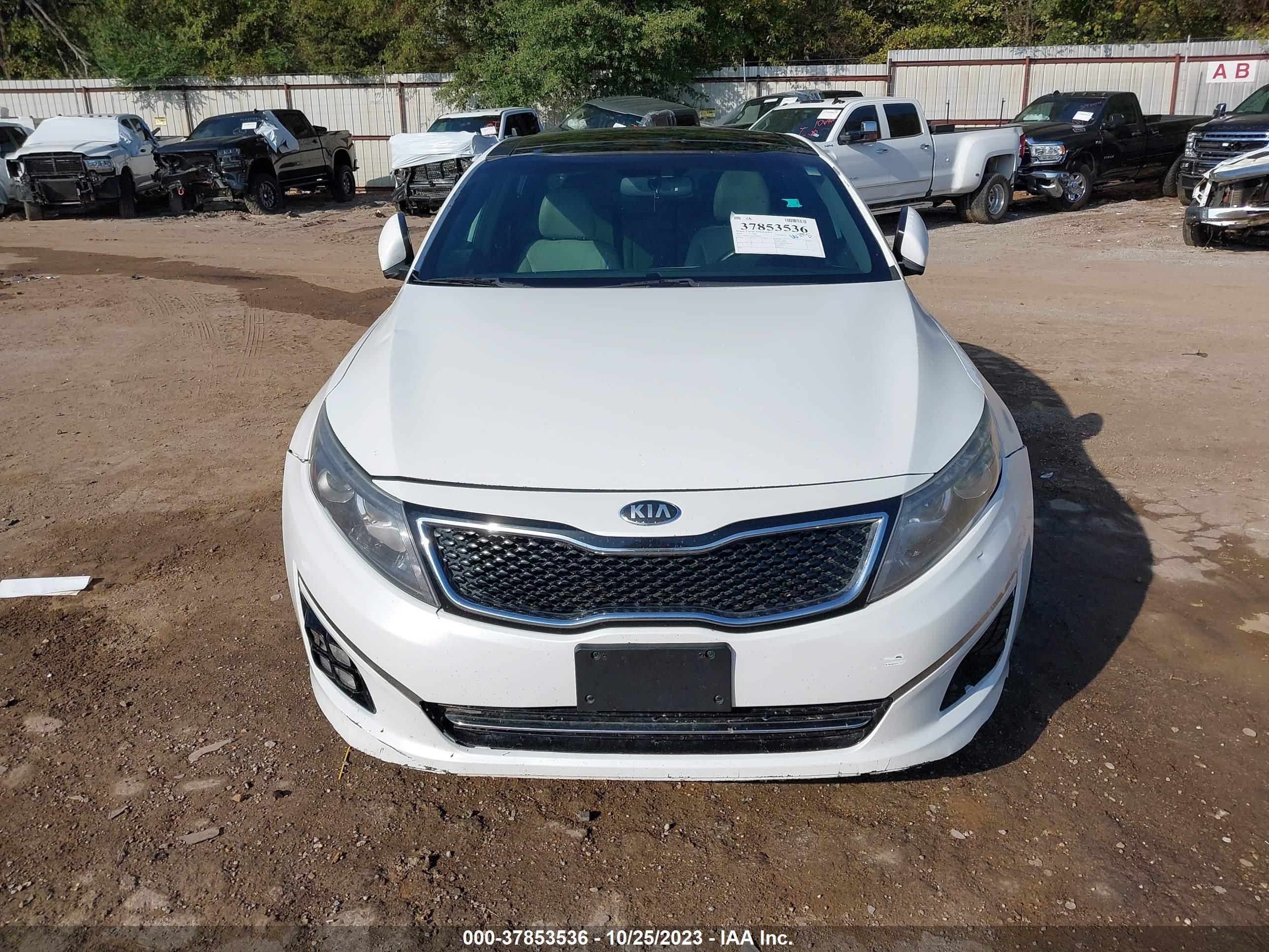 Photo 11 VIN: 5XXGR4A63EG284230 - KIA OPTIMA 