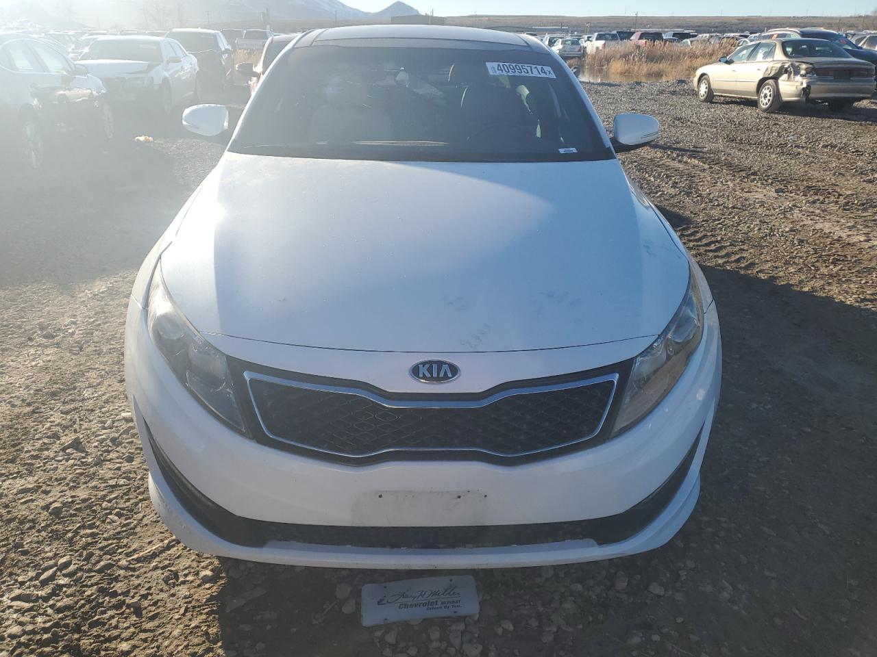 Photo 4 VIN: 5XXGR4A64DG178254 - KIA OPTIMA 