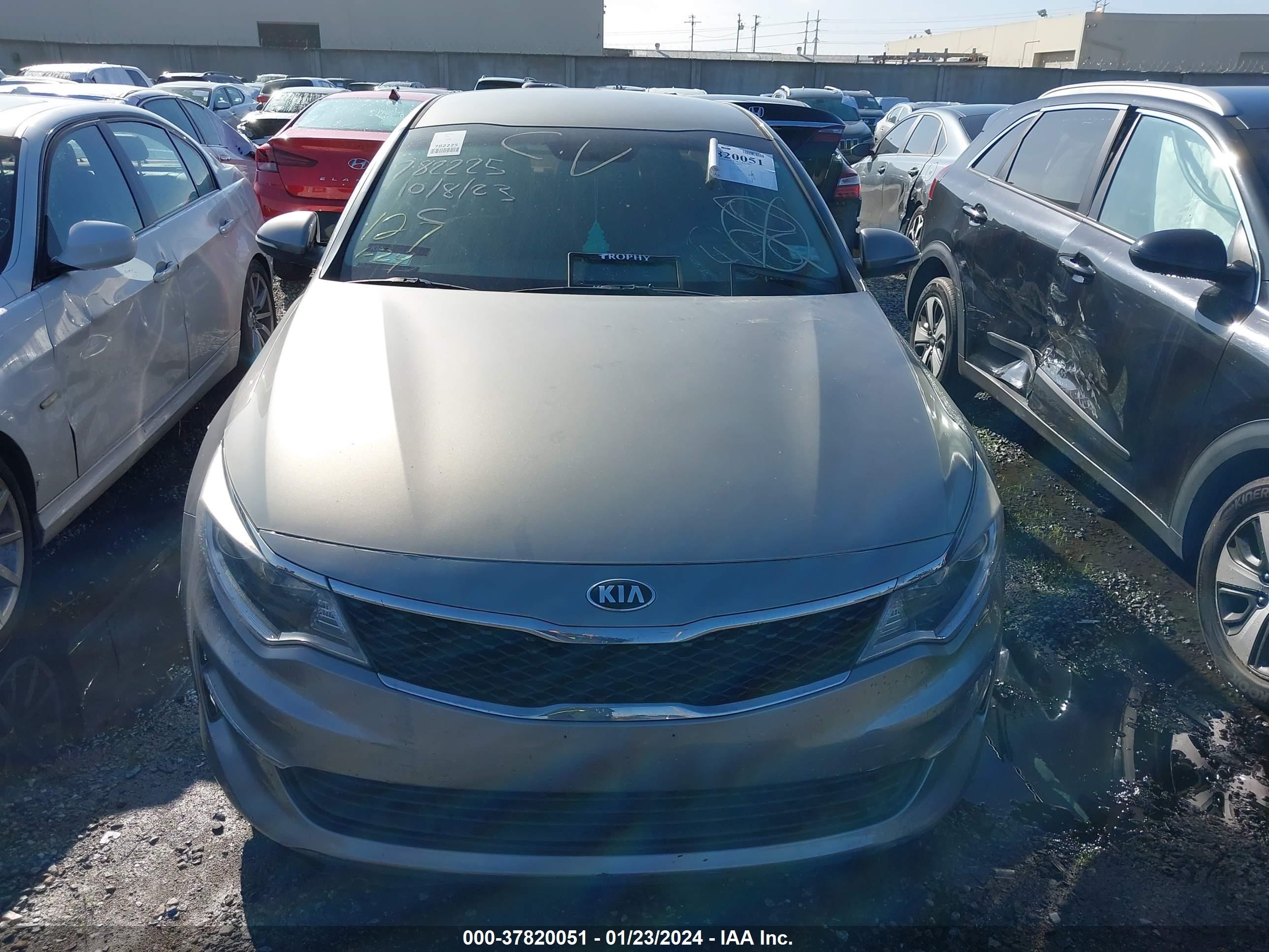 Photo 12 VIN: 5XXGT4L31GG023136 - KIA OPTIMA 