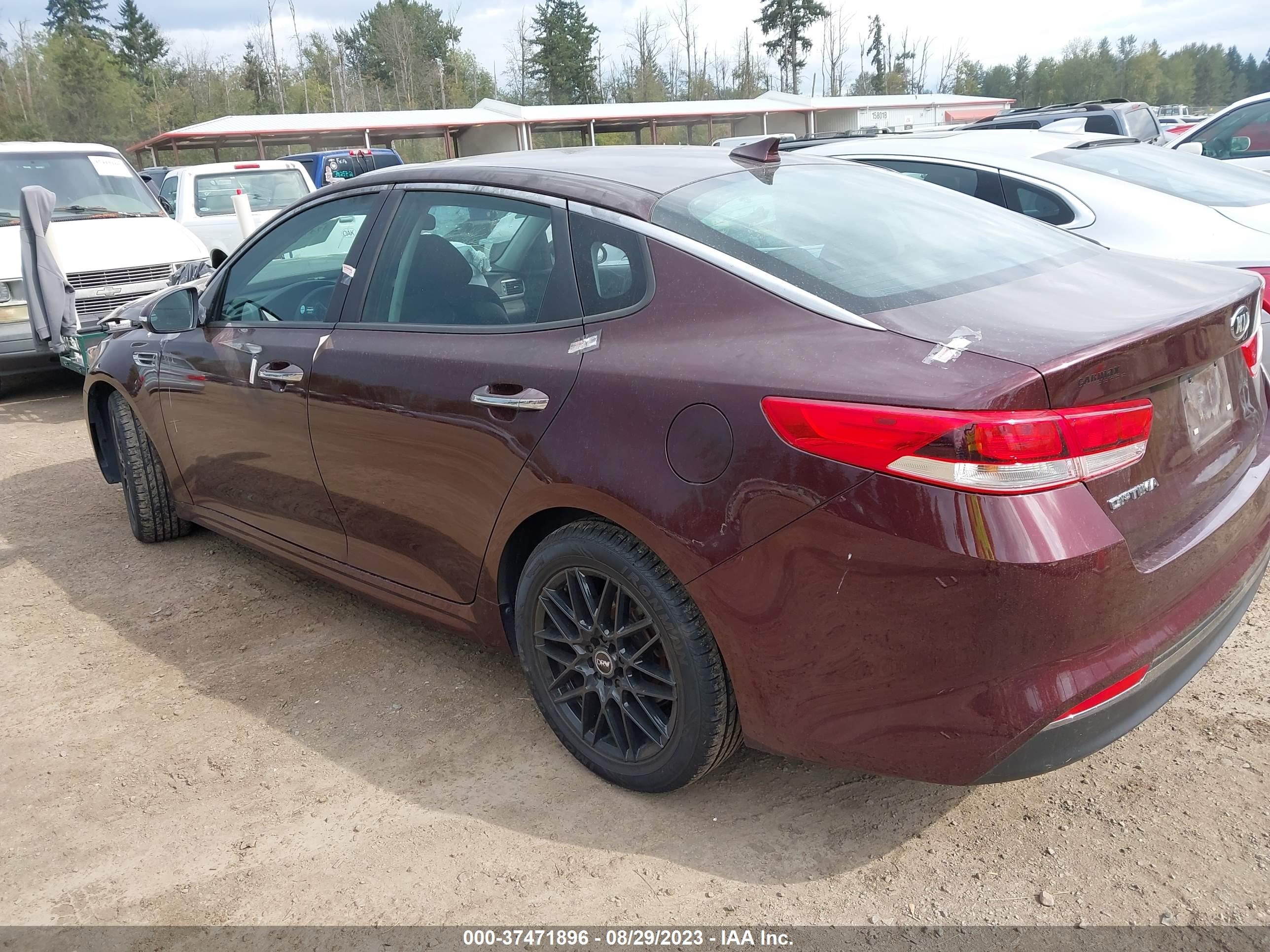 Photo 2 VIN: 5XXGT4L33GG068661 - KIA OPTIMA 