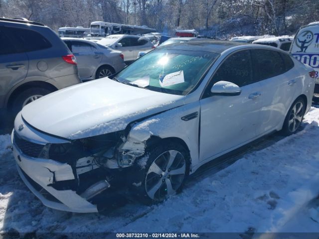 Photo 1 VIN: 5XXGT4L34KG371117 - KIA OPTIMA 