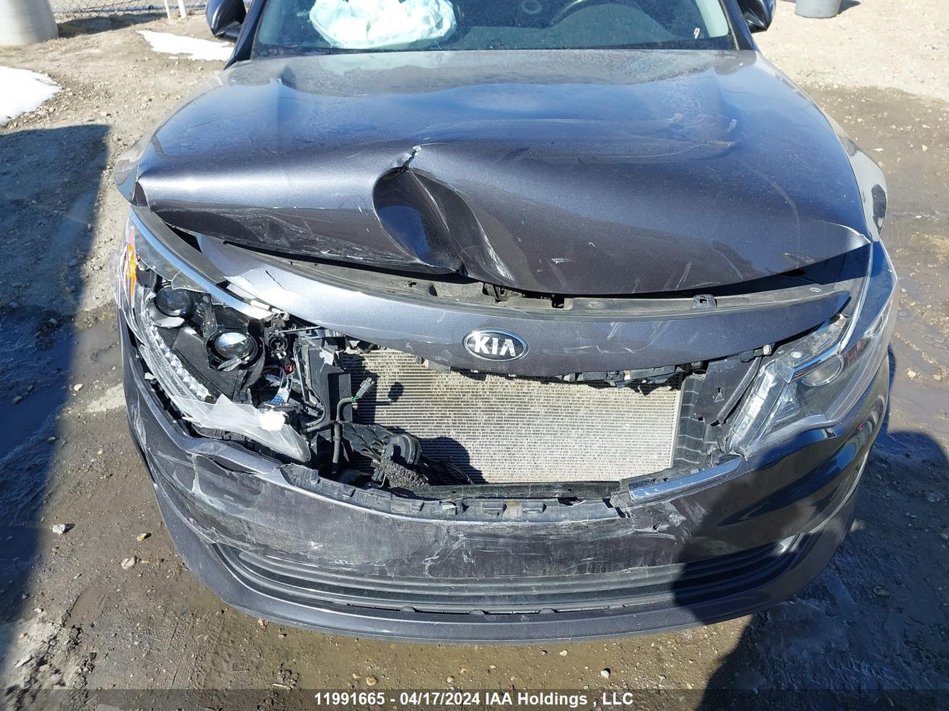 Photo 5 VIN: 5XXGU4L39GG054096 - KIA OPTIMA 