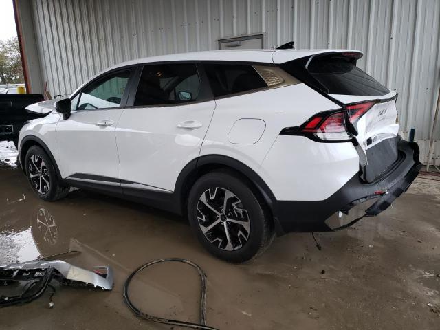 Photo 1 VIN: 5XYK33DF5RG172662 - KIA SPORTAGE 