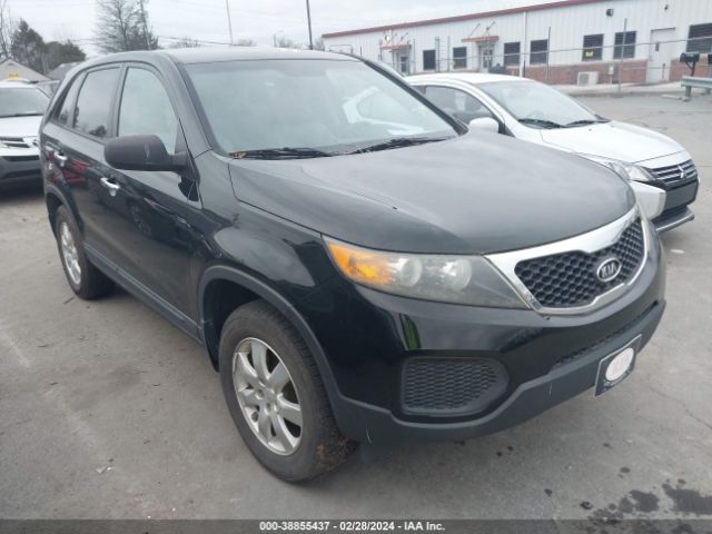 Photo 0 VIN: 5XYKT3A10BG145142 - KIA SORENTO 