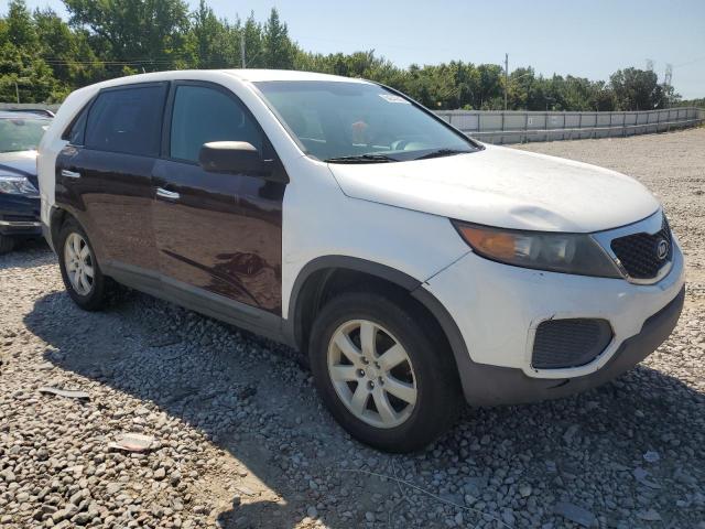 Photo 3 VIN: 5XYKT3A13BG132885 - KIA SORENTO BA 