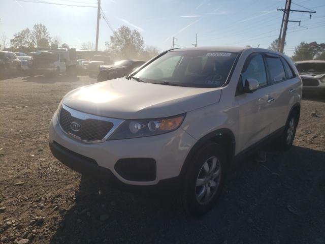 Photo 1 VIN: 5XYKT3A16BG098277 - KIA SORENTO BA 