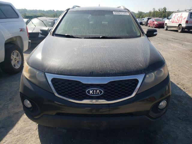 Photo 4 VIN: 5XYKT3A16BG117832 - KIA SORENTO 