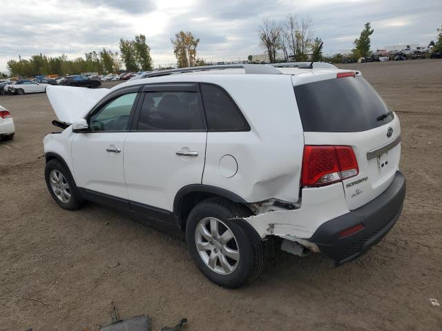 Photo 1 VIN: 5XYKT3A18BG141873 - KIA SORENTO BA 