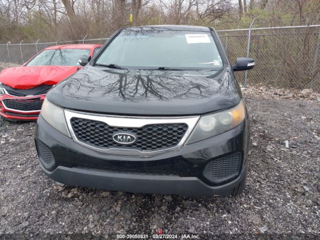 Photo 5 VIN: 5XYKT3A18CG202169 - KIA SORENTO 