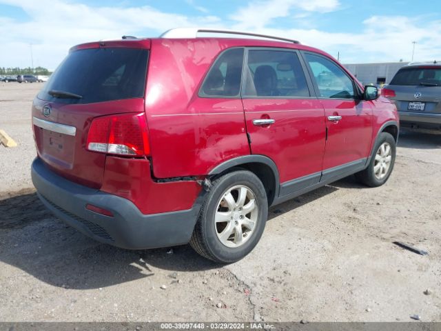 Photo 3 VIN: 5XYKT3A19BG022875 - KIA SORENTO 