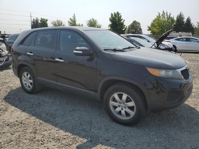 Photo 3 VIN: 5XYKT3A1XDG336523 - KIA SORENTO 