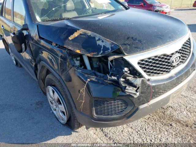 Photo 5 VIN: 5XYKT3A1XDG358909 - KIA SORENTO 