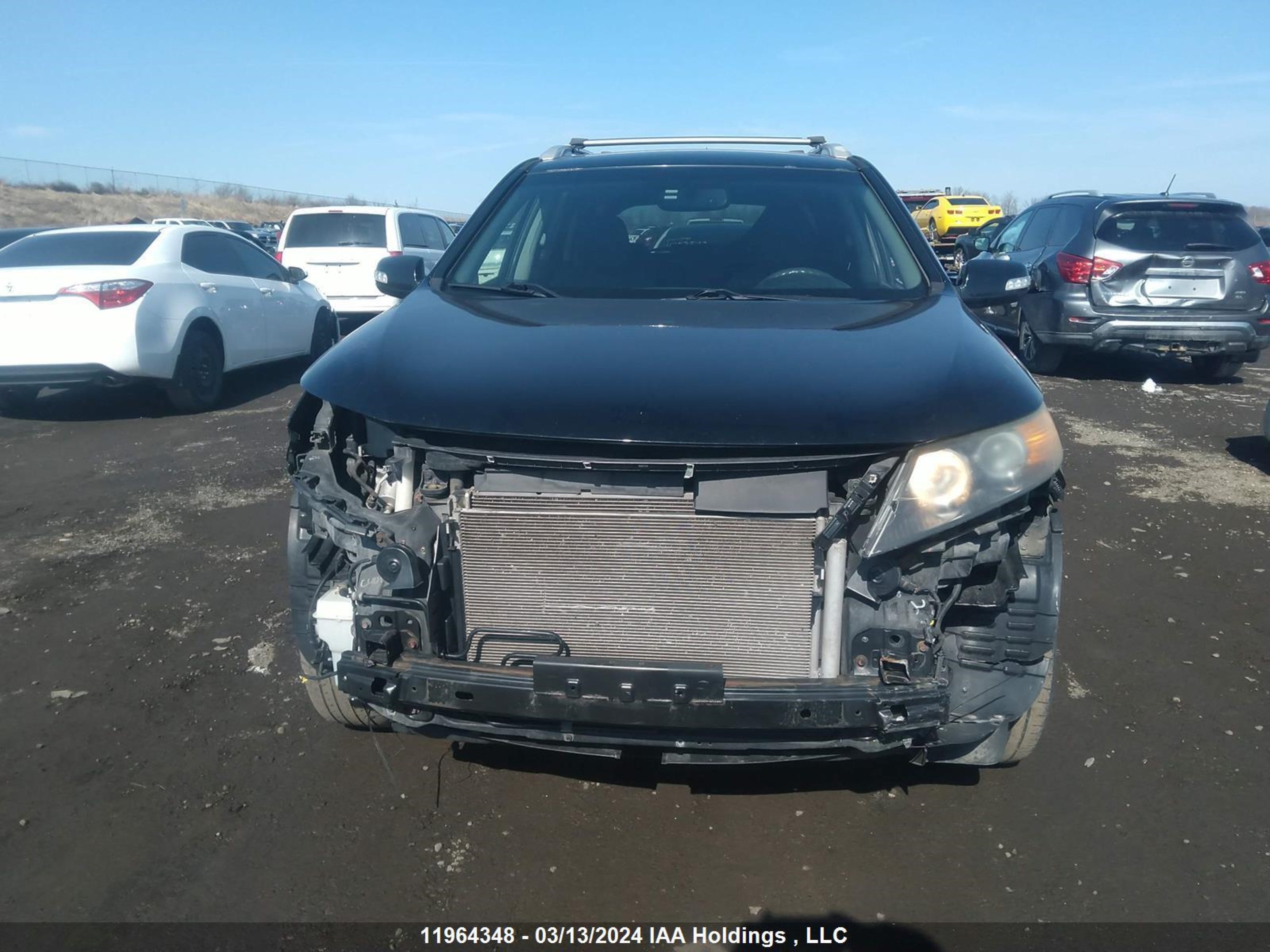 Photo 11 VIN: 5XYKT3A24BG170795 - KIA SORENTO 