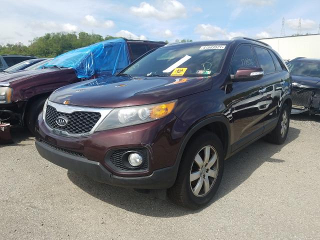 Photo 1 VIN: 5XYKT3A60CG229135 - KIA SORENTO BA 