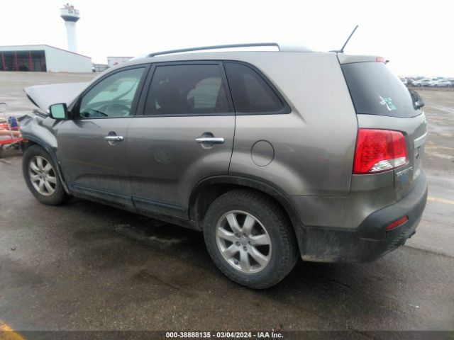 Photo 2 VIN: 5XYKT3A60DG355707 - KIA SORENTO 