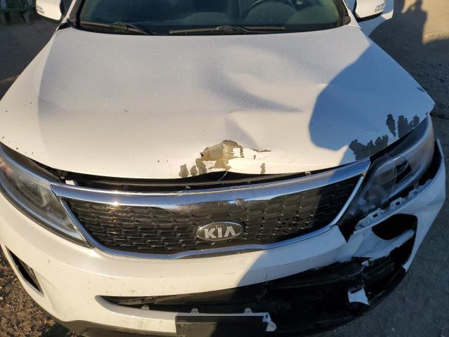 Photo 10 VIN: 5XYKT3A60EG473712 - KIA SORENTO 