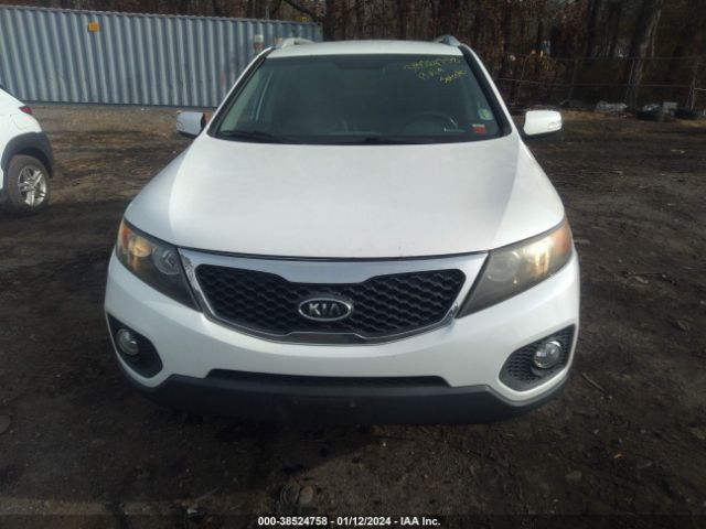 Photo 5 VIN: 5XYKT3A61DG385931 - KIA SORENTO 