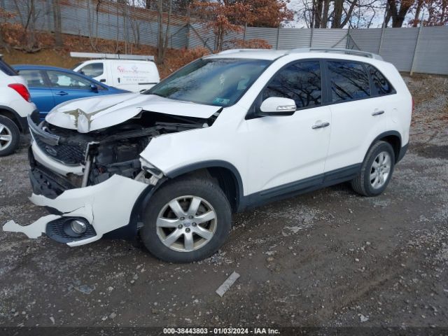 Photo 1 VIN: 5XYKT3A64DG416055 - KIA SORENTO 