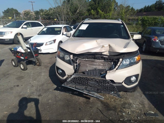 Photo 5 VIN: 5XYKT4A10BG125219 - KIA SORENTO 