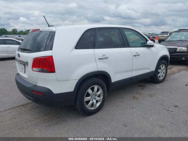 Photo 3 VIN: 5XYKT4A11DG335301 - KIA SORENTO 