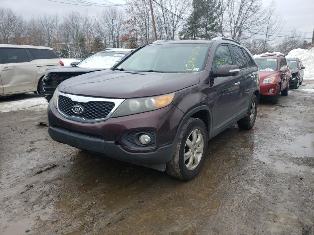 Photo 1 VIN: 5XYKT4A12BG052371 - KIA SORENTO BA 