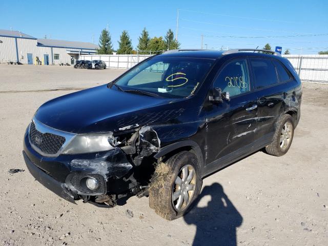 Photo 1 VIN: 5XYKT4A12BG074869 - KIA SORENTO BA 