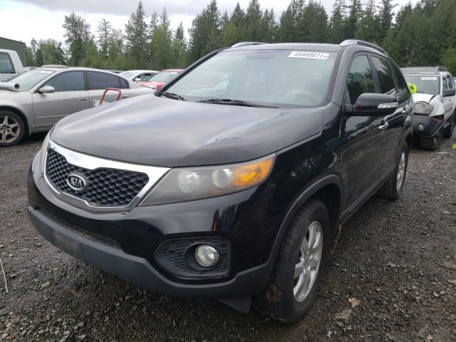 Photo 1 VIN: 5XYKT4A14BG075277 - KIA SORENTO BA 