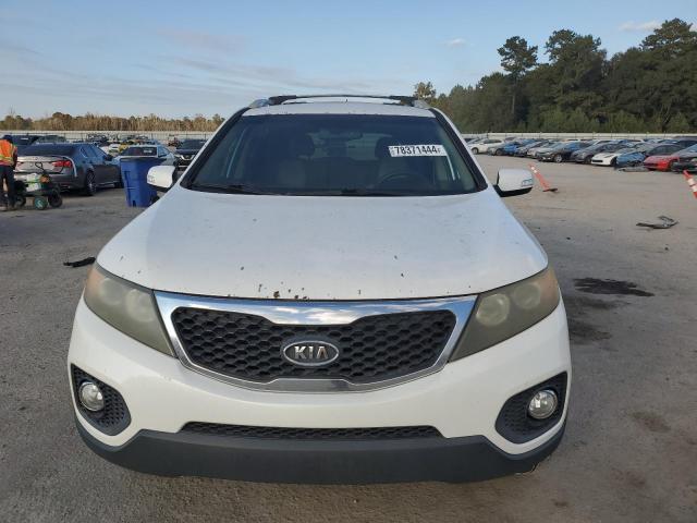 Photo 4 VIN: 5XYKT4A14BG175783 - KIA SORENTO BA 