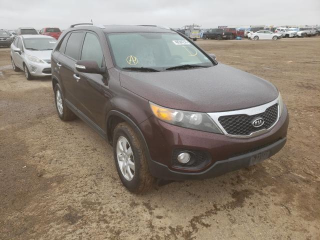 Photo 0 VIN: 5XYKT4A15BG010843 - KIA SORENTO BA 