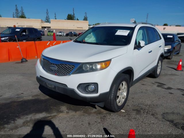 Photo 1 VIN: 5XYKT4A15BG101563 - KIA SORENTO 