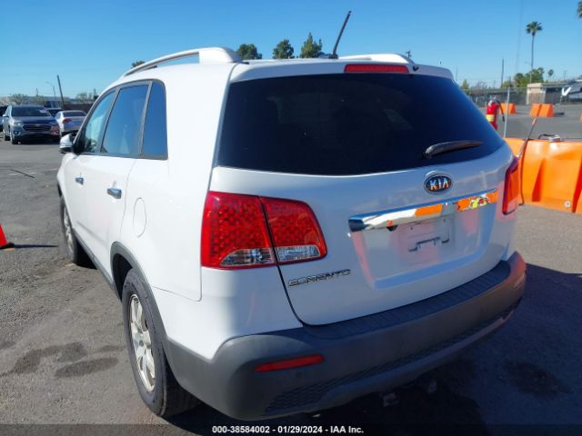 Photo 2 VIN: 5XYKT4A15BG101563 - KIA SORENTO 