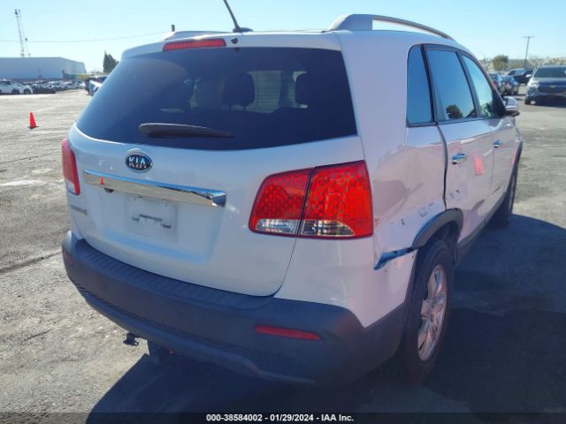 Photo 3 VIN: 5XYKT4A15BG101563 - KIA SORENTO 