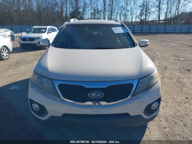 Photo 5 VIN: 5XYKT4A17BG012528 - KIA SORENTO 