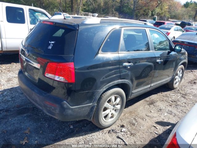 Photo 3 VIN: 5XYKT4A17BG013596 - KIA SORENTO 