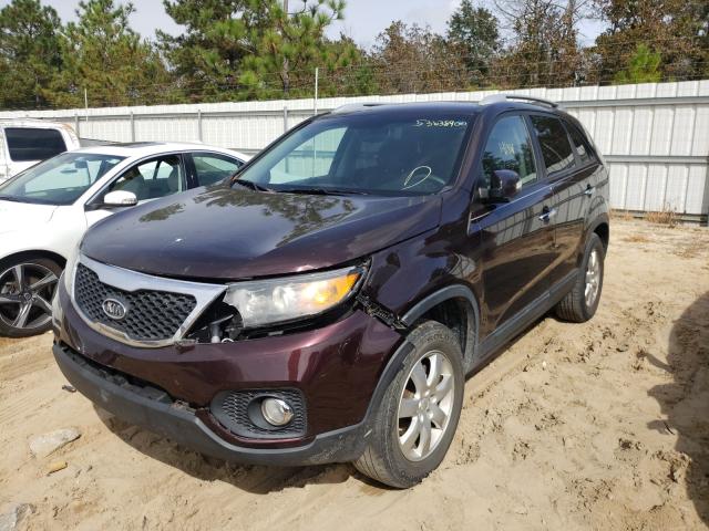 Photo 1 VIN: 5XYKT4A17BG117795 - KIA SORENTO BA 