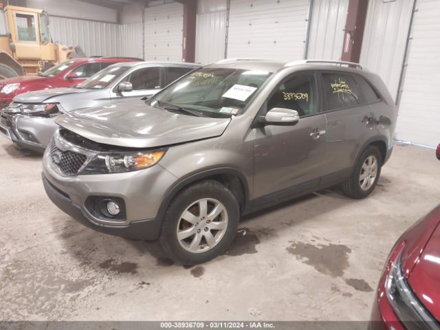 Photo 1 VIN: 5XYKT4A19BG102764 - KIA SORENTO 