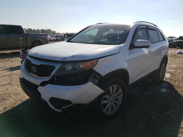 Photo 1 VIN: 5XYKT4A21BG065525 - KIA SORENTO BA 