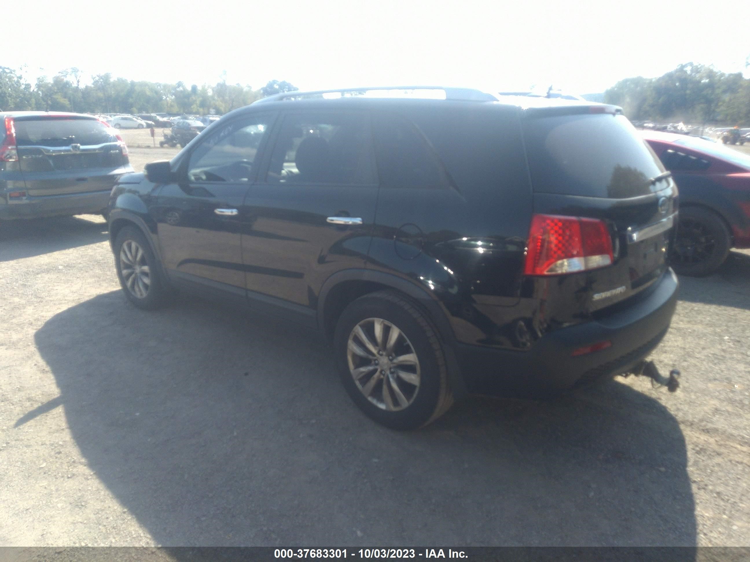 Photo 2 VIN: 5XYKT4A21BG098640 - KIA SORENTO 