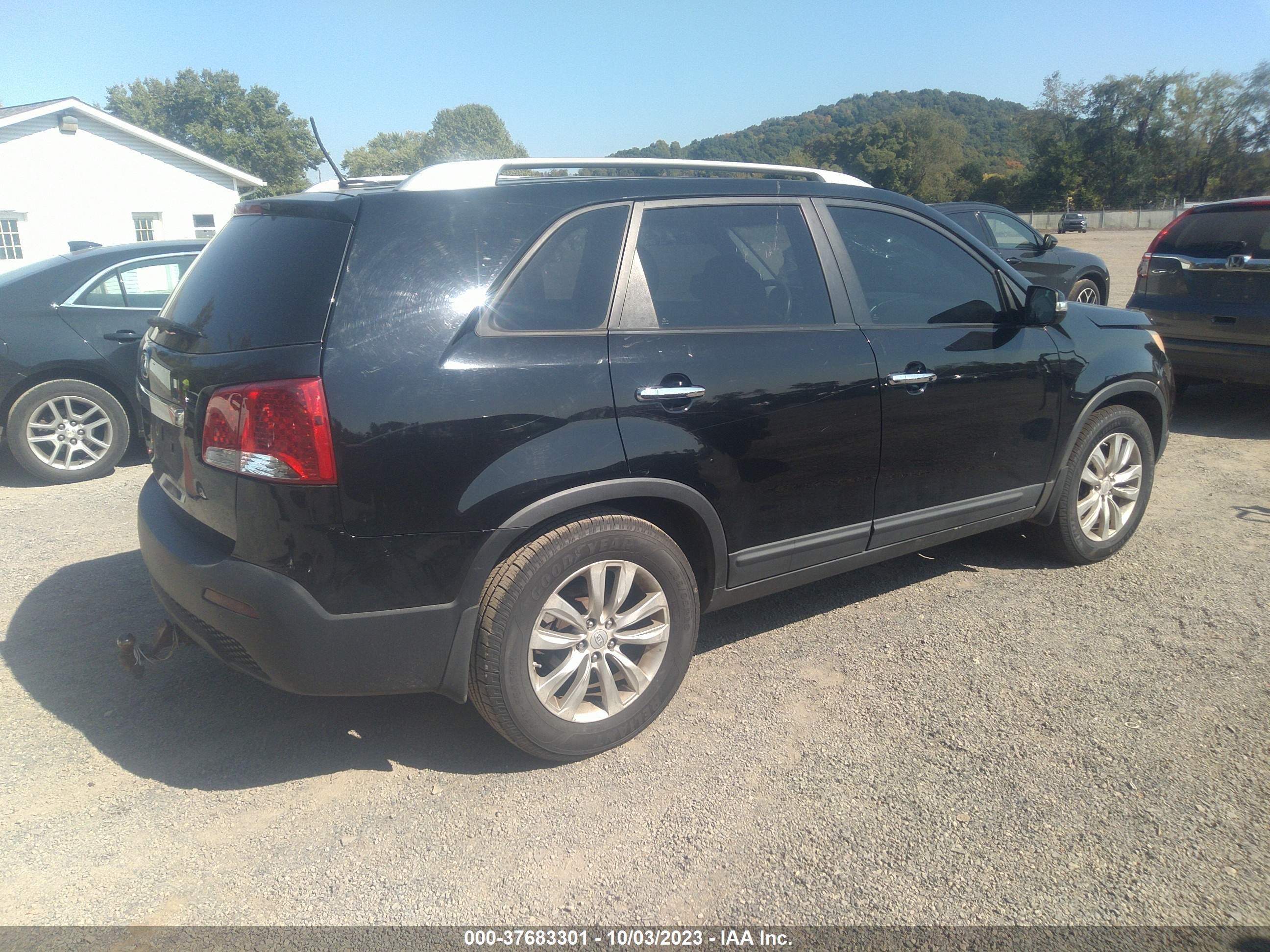 Photo 3 VIN: 5XYKT4A21BG098640 - KIA SORENTO 