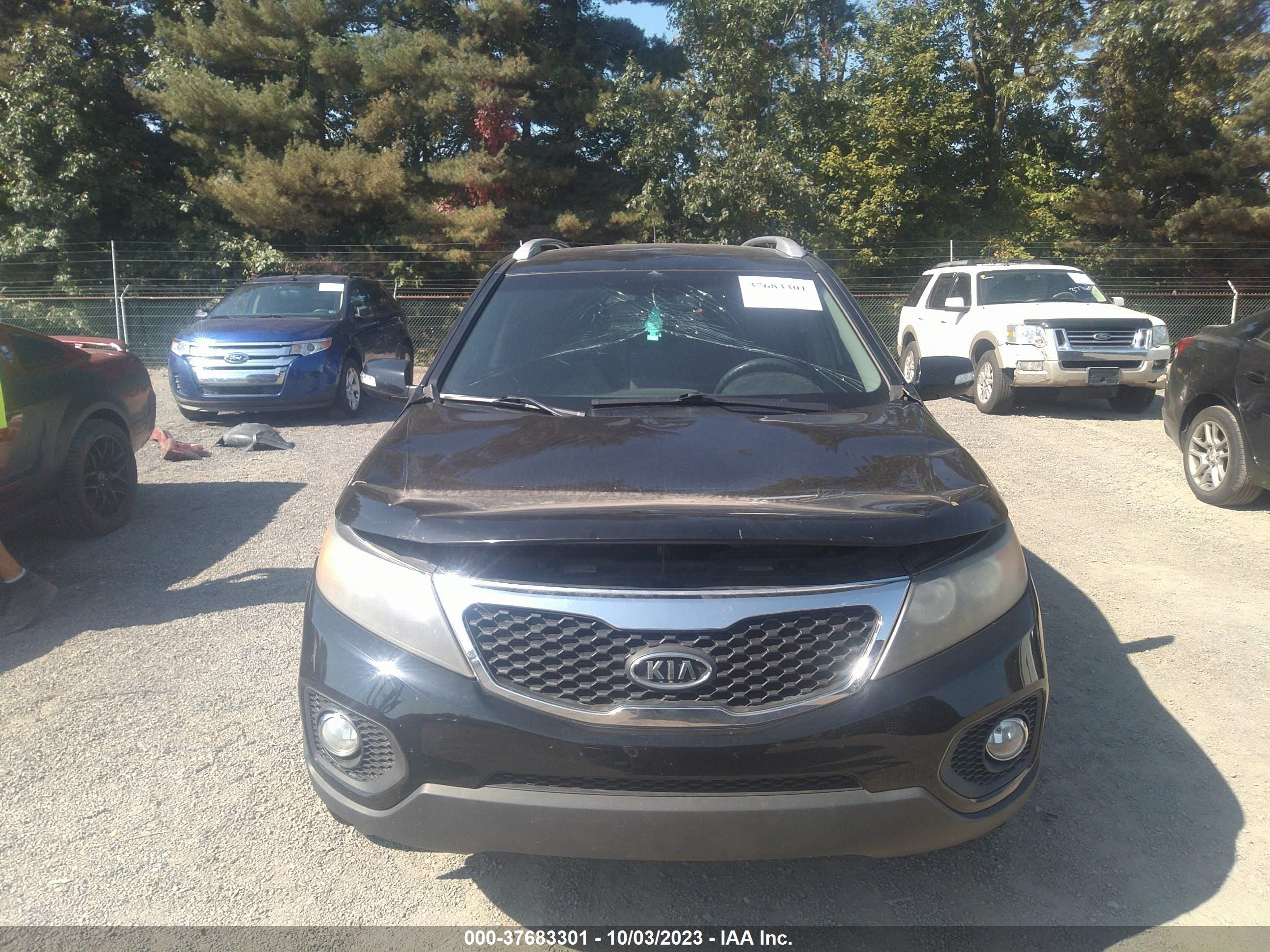 Photo 5 VIN: 5XYKT4A21BG098640 - KIA SORENTO 